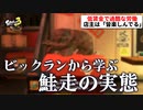 【実況】N-ZAP愛好家のXマッチ【Splatoon3】part7