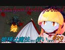 【Cataclysm:DDA】姫様は魔法使い#29