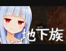 マイクラといえばもちろん炭鉱夫！！！【Minecraft】