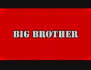 BigBrother / 歌ってみた 【ししとうからい】