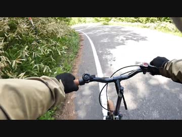 ホモと見るある日森の中でクマさんに出会ってしまった男