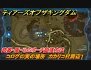 ティアキン　コログの実の場所　カカリコ村周辺１　武器・盾・弓のポーチ拡張方法　＃１０１２　【ゼルダの伝説ティアーズオブザキングダム】