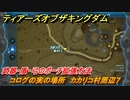ティアキン　コログの実の場所　カカリコ村周辺７　武器・盾・弓のポーチ拡張方法　＃１０２１　【ゼルダの伝説ティアーズオブザキングダム】