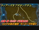 ティアキン　コログの実の場所　サハスーラ平原３　武器・盾・弓のポーチ拡張方法　＃１０２５　【ゼルダの伝説ティアーズオブザキングダム】