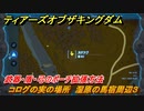 ティアキン　コログの実の場所　湿原の馬宿周辺３　武器・盾・弓のポーチ拡張方法　＃１０２８　【ゼルダの伝説ティアーズオブザキングダム】