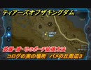 ティアキン　コログの実の場所　バメの丘周辺３　武器・盾・弓のポーチ拡張方法　＃１０４５　【ゼルダの伝説ティアーズオブザキングダム】