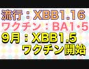 20230617_9月からXBB対応ワクチン