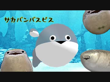 【MMD SBBP】サカサカバンバンバスピスピス【MMDワンピ】