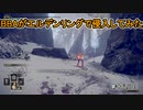 【ELDEN RING】中年BBAがエルデンリングで侵入してみたよ。第十八回目【侵入】