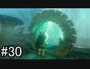【実況】空の島から始まる新たな冒険【ゼルダの伝説 ティアーズ オブ ザ キングダム】part30