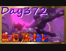 【毎日投稿】ムキ・ムキ・ムキへの道！！！【RFA負荷23】#372