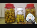 梅シロップをつける紲星あかり