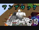 【３７日目】ワンブロックでハードコアな世界を生き残る