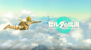 【ゼルダの伝説】ティアーズオブザキングダム【初見ハート縛り】part_209