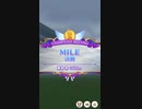 チャンピオンズミーティングMILE　B　決勝