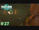 あれれ～？おかしいぞ～？　「ゼルダの伝説～ティアーズ・オブ・ザ・キングダム」　＃27