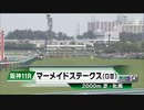 【ウマ娘風】第28回マーメイドステークスGⅢ(2023)【ビッグリボン】