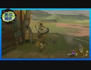【ゼルダの伝説 ティアーズ オブ ザ キングダム】空と地底と大地と呪われし右腕。 #23【実況】