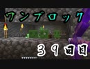 【３９日目】ワンブロックでハードコアな世界を生き残る