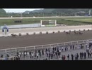 ＤＳ２０２３ ＪＢＣ協会協賛 黒潮ダービー 第51回高知優駿（ダノンキングリー賞）［地方全国交流］ ユメノホノオ