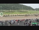 2023年6月18日佐賀競馬5R ＣＯＭＥＨＯＭＥ九州 里帰りＪＣ ウェルカムカップ(C2-8組) プレミアムマンゴー