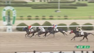 2023年6月18日佐賀競馬6R ＣＯＭＥＨＯＭＥ九州 里帰りＪＣ ホームタウンカップ(C1) メタモルフォシス