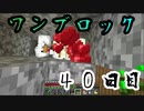 【４０日目】ワンブロックでハードコアな世界を生き残る