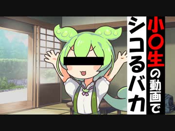 小学500年生の動画でツコるずんだもん