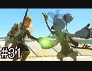 【実況】空の島から始まる新たな冒険【ゼルダの伝説 ティアーズ オブ ザ キングダム】part31