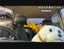 【豚王】北海道旅配信 〜無の時間〜。2023年6月11日