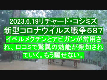 2023.6.19リチャード・コシミズ 新型コロナウイルス戦争５８７