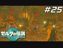 【ティアキン】ヴォーイ禁制のゲルドの街で逮捕される勇者 ゼルダの伝説 ティアーズオブザキングダム Part25【ゲーム実況】