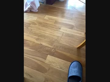 100カメの司会をオードリーがやってんだけど、なんだかなぁ