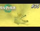 【ティアキン】勇者、蟻地獄に捕まる【ゼルダの伝説 ティアーズ オブ キングダム】実況プレイ part35