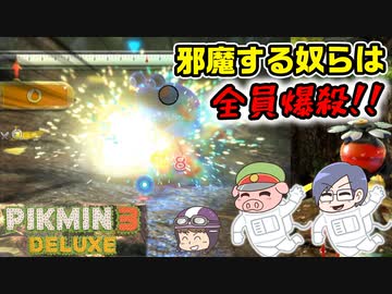 ピクミン3デラックス　＃48