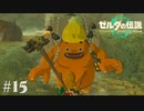 【ゼルダの伝説 Tears of the Kingdom】全然リトの村に着かないのだが【実況】#15