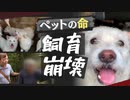 “囚われの動物たち”悪臭の家に８４匹の犬、現実と向き合えない「多頭飼育崩壊」