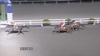 2023年6月18日高知競馬11R 汗見川特別(B-1組) ジョウショーリード