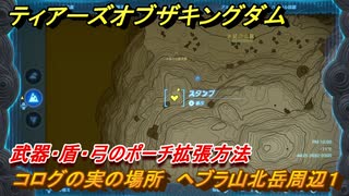 ティアキン　コログの実の場所　ヘブラ山北岳周辺１　武器・盾・弓のポーチ拡張方法　＃１０５８　【ゼルダの伝説ティアーズオブザキングダム】