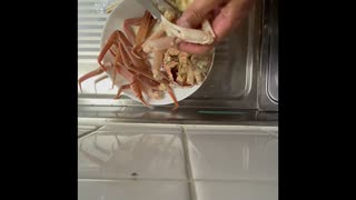 ベニズワイガニ