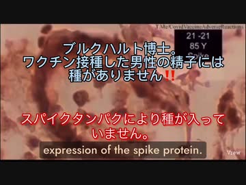 種がひとつもない