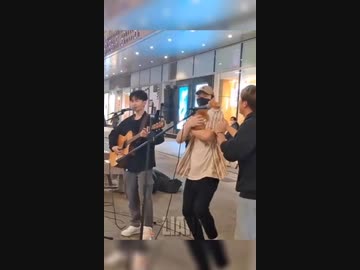 ホモと見る歌う猫