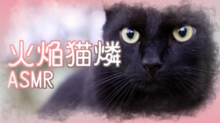 【第15回東方ニコ童祭】火焔猫燐　ASMR