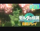 【実況】大空を翔る。ゼルダの伝説ティアーズオブザキングダム 実況プレイ！Part33【ゼルダの伝説TotK】