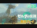【実況】大空を翔る。ゼルダの伝説ティアーズオブザキングダム 実況プレイ！Part35【ゼルダの伝説TotK】