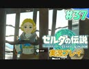 【実況】大空を翔る。ゼルダの伝説ティアーズオブザキングダム 実況プレイ！Part37【ゼルダの伝説TotK】