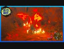 【ゼルダの伝説 ティアーズ オブ ザ キングダム】空と地底と大地と呪われし右腕。 #23【実況】