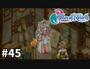 #45【テイルズオブリバース】目指せシリーズ制覇！君が生まれ変わるRPG、TORを完全初見で楽しむ！！【TALES OF REBIRTH】【実況】