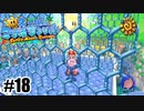 檻に許された二人【スーパーマリオサンシャイン】#18