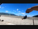 迫真アウトドア部　初投稿の裏技.mp4
